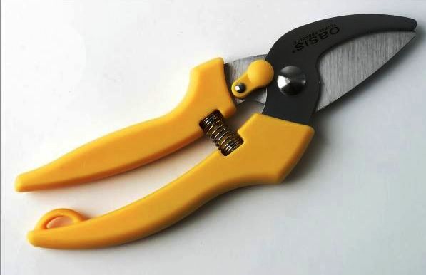 Secateurs t