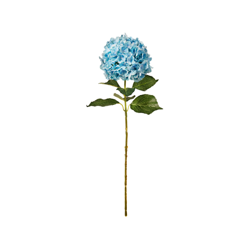 502617 Large Head Hydrangea Light Blue