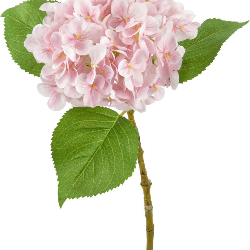 504314 Eleganza Small Head Hydrangea Light Pink