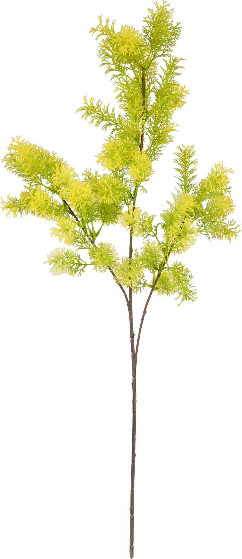 504710 Eleganza Foliage Spray 72cm Stem Light Green