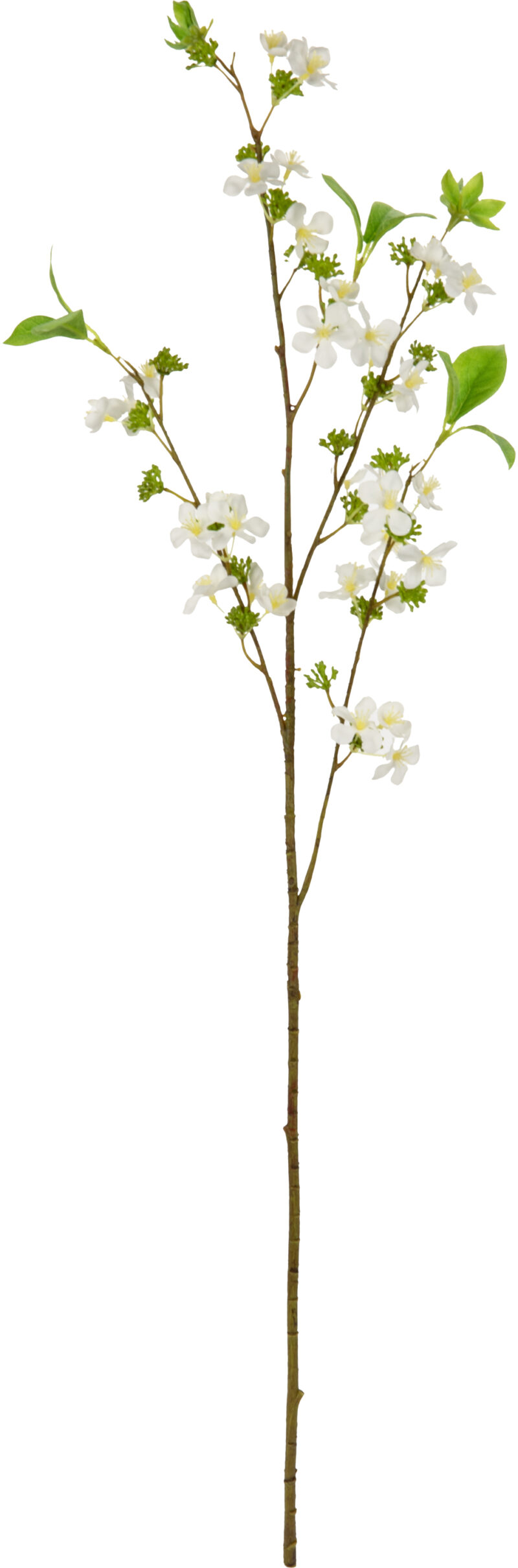 505762 Eleganza Meadow Blossom White