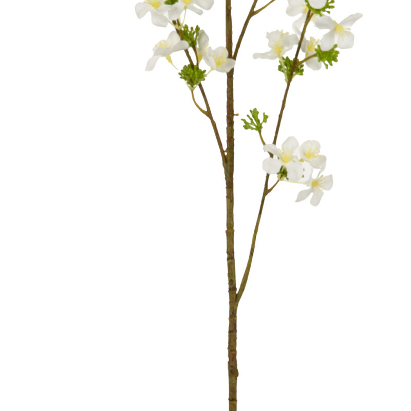 505762 Eleganza Meadow Blossom White