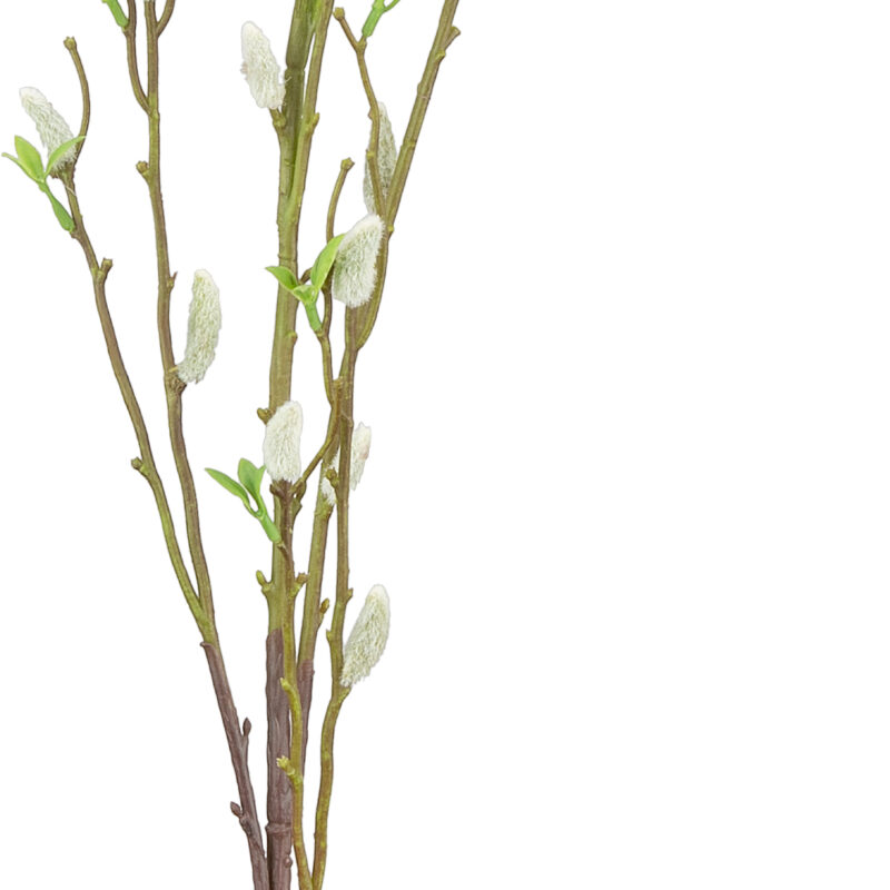 506011 Eleganza Pussy Willow Spray3