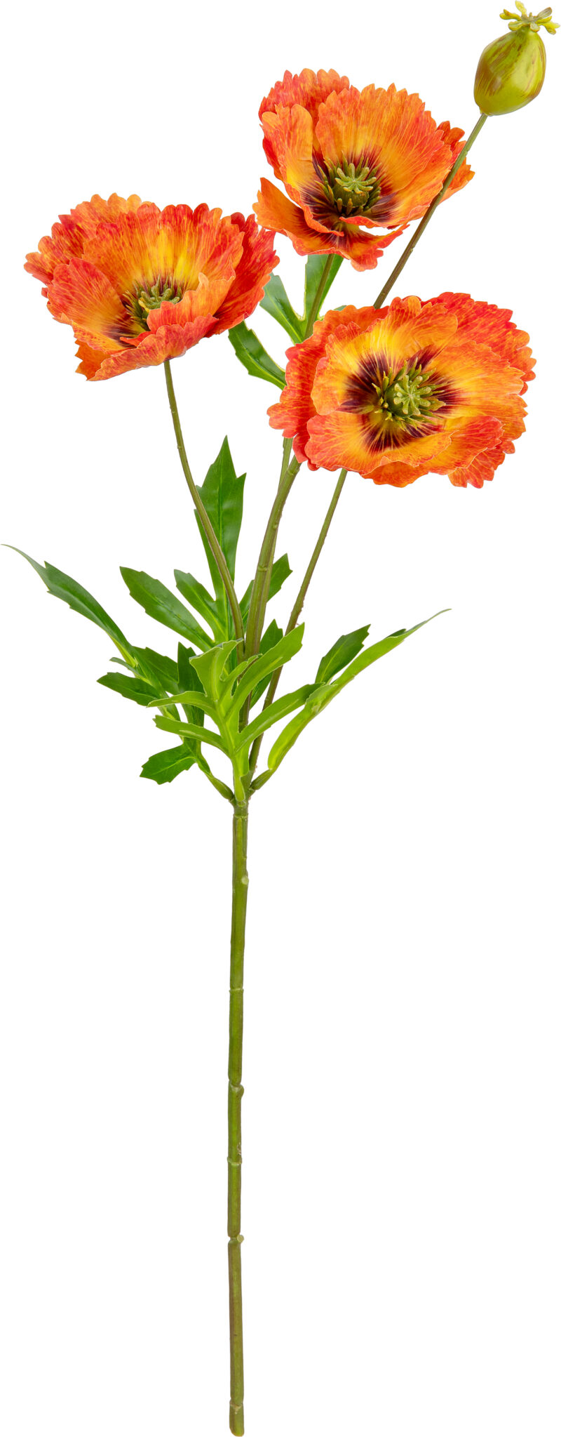 506158 Eleganza Small Poppy Spray Orange1