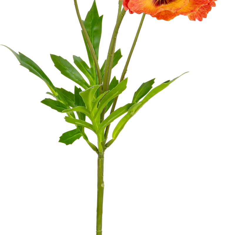 506158 Eleganza Small Poppy Spray Orange1