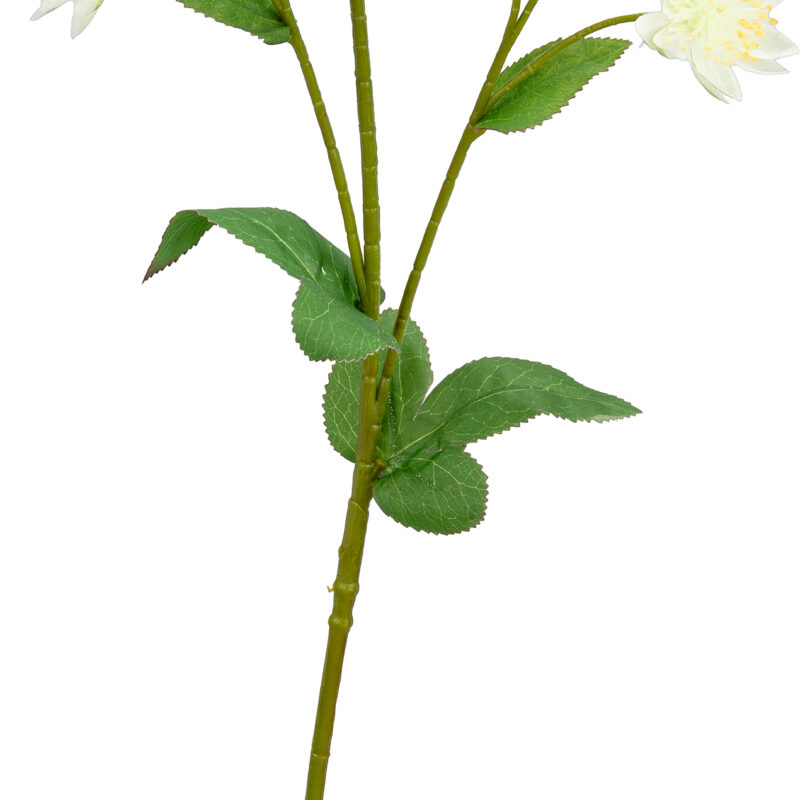 506332 Eleganza Astrantia Spray 61cm Cream2