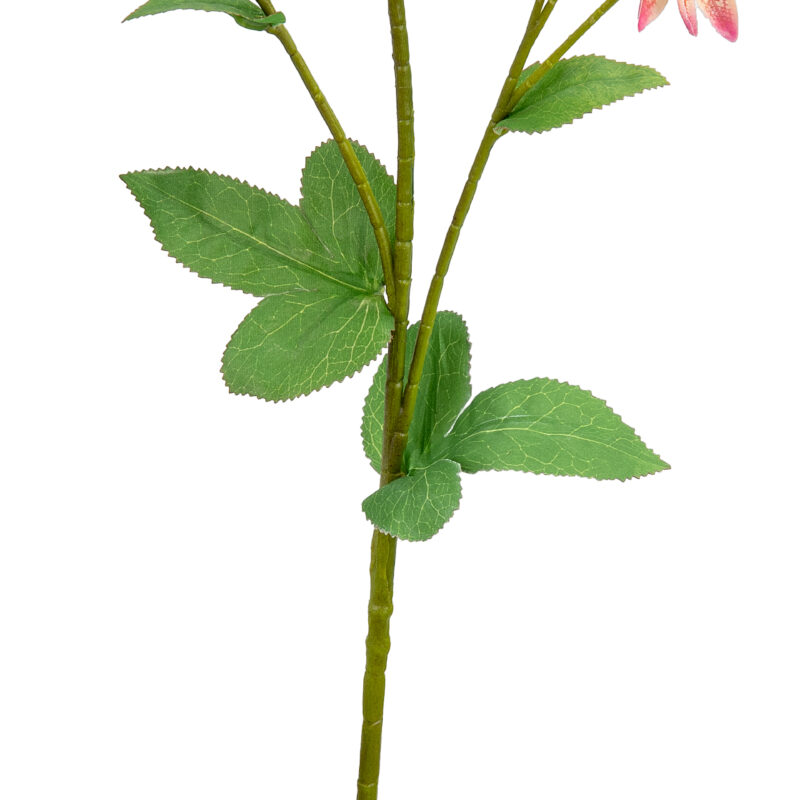 506349 Eleganza Astrantia Spray 61cm Pink2