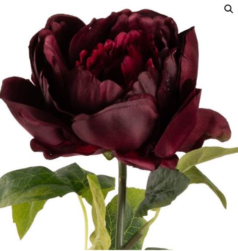 Aurora peony burgundy