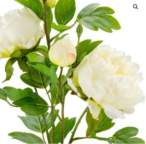Peony spray cream
