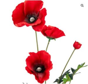 Poppy spray red