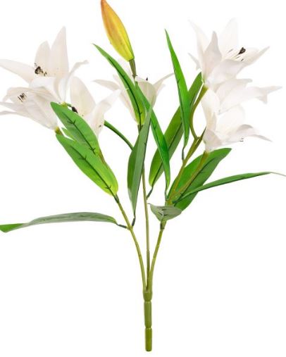 lily white