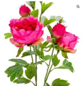 peony spray dk pink