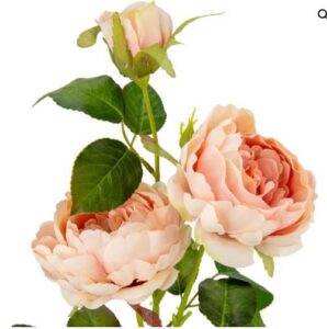 spray rose dusky pink