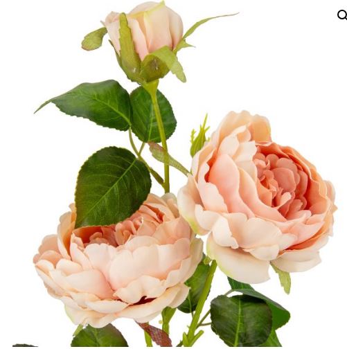 spray rose dusky pink
