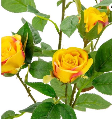 tinted yellow spray rose