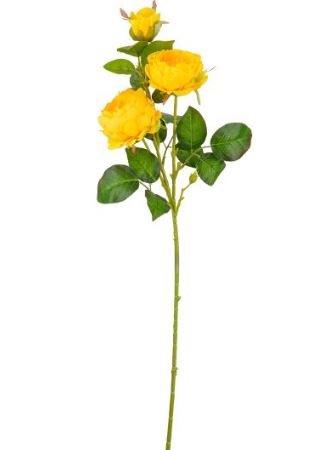 yellow spray rose