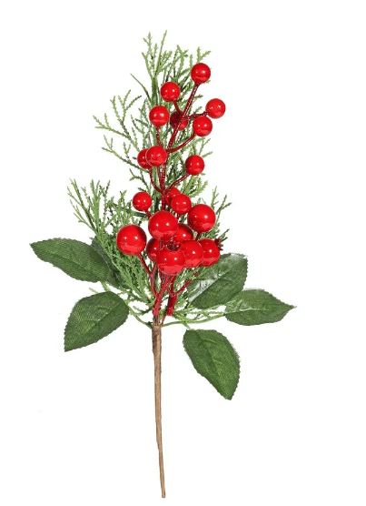 berry and foliage